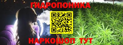 прущие грибы Севастополь